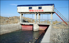 䰸